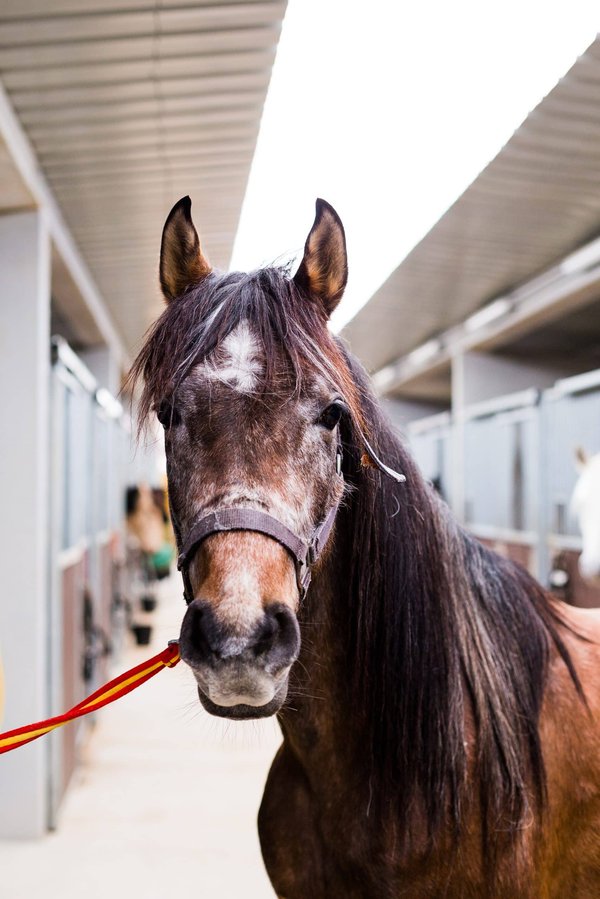 L'éducation inclusive : un levier pour une société plus juste et équitable ?